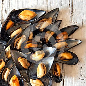 Ã¯Â¿Â½ooked mussels close up. Top view